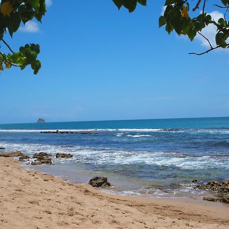 Holidays Guadeloupe Plessis-Nogent Exteriör bild