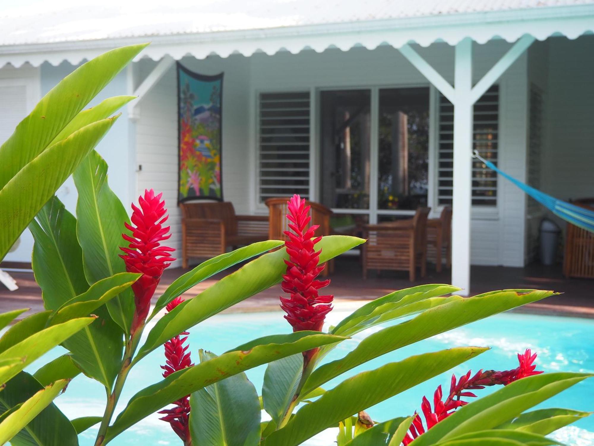 Holidays Guadeloupe Plessis-Nogent Rum bild