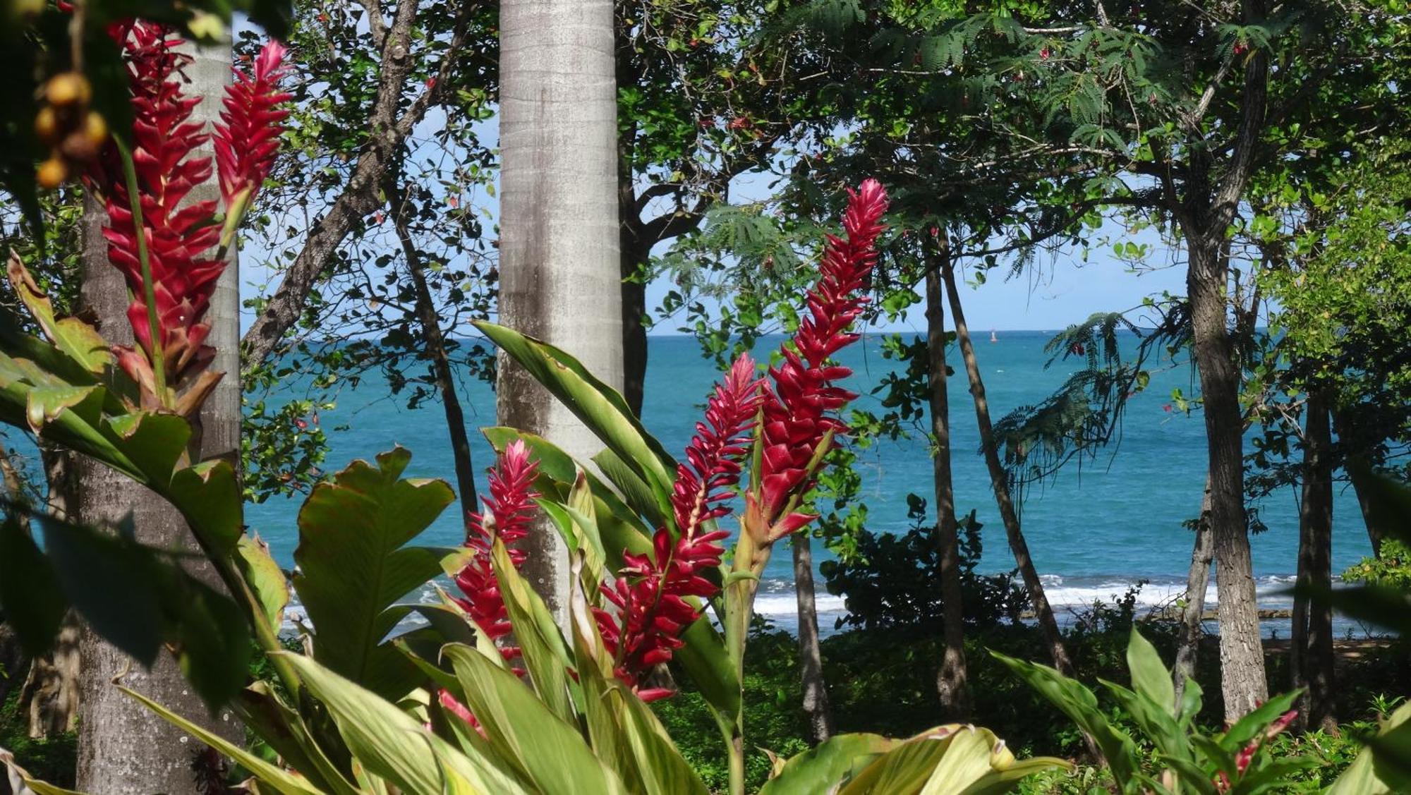 Holidays Guadeloupe Plessis-Nogent Rum bild